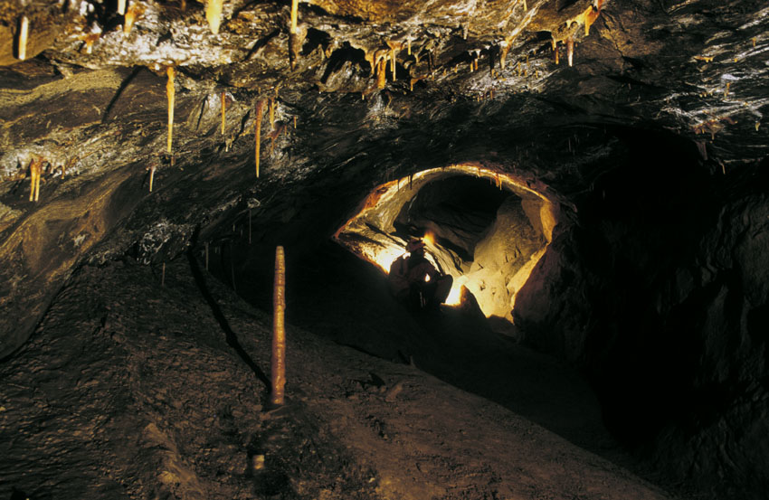 Basissystem 800 Galerie