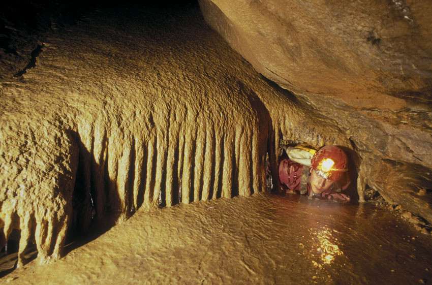 Basissystem M&auml;rlistollen